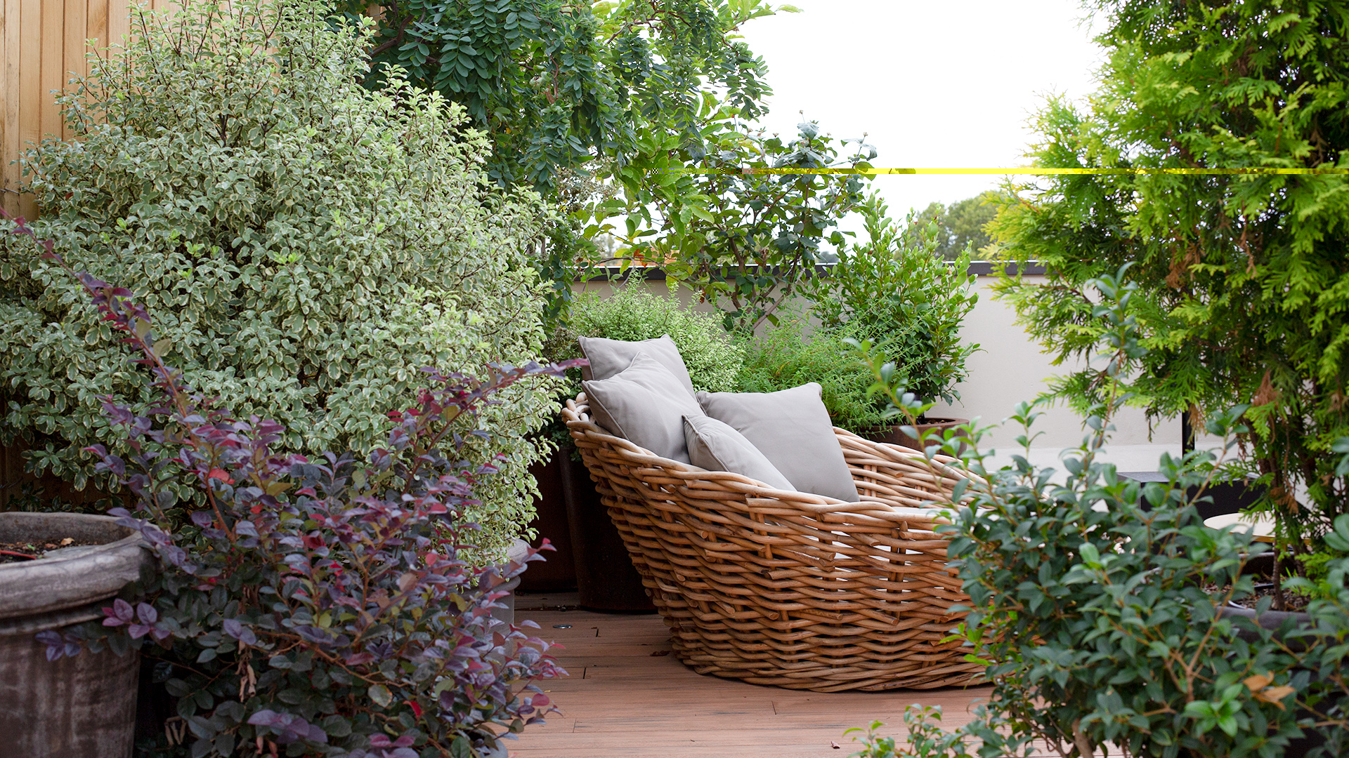 jardin